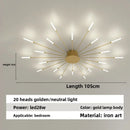 Axyaa Firework Decor LED Ceiling Lights for Living Room Bedroom Kitchen, Nordic Indoor Home Fixture