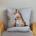 Chihuahua Dog Printed Cushion Cover by Axyaa for Home Decor
