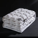 Axyaa 2024 Winter Down Quilt White Goose Down 120 Long-Staple Cotton Twisted Flower Quilt