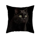Axyaa Black Cat Pillowcases: Cute Kitty Lover Cushion Cover & Home Decor