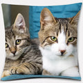 Axyaa Cat Series Pillowcase: Cute Living Room Sofa Cover for Home Decoration