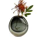 Axyaa Glass Vase: Elegant Decor for Living Room, Dining Table, Fresh Flowers & Hydroponics
