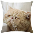 Axyaa Black Cat Bubble Pillow Cases - Premium Animal Cushion Cover for Home Decor
