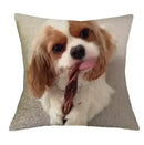 Axyaa Cavalier King Charles Spaniel Sofa Cushion Cover - Home Decor & Party Accessory