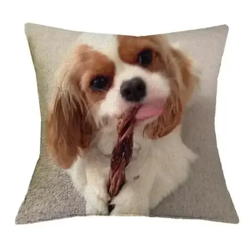 Axyaa Cavalier King Charles Spaniel Sofa Cushion Cover - Home Decor & Party Accessory
