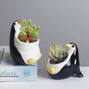 Axyaa Cartoon Penguin Ceramic Flower Pot for Succulents and Plants