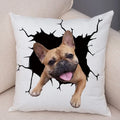 Axyaa Cute Dog Print Pillow Case for Home Decor and Comfort