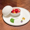 Axyaa Volcanic Stone White Bowl Set - Modern Crafted Ceramic Dish for Serving