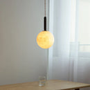 Axyaa Black Iron LED Pendant Light with PMMA Shade for Dining & Living Room