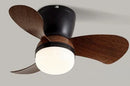 Axyaa Ceiling Fan Light with Variable Frequency Control