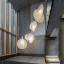 Axyaa Modern Nordic LED Chandelier for Dining Room, Kitchen, Bedroom - Luxury Design