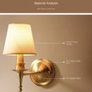 Axyaa Modern LED Wall Lamp for Home Decor Living Room Sconce
