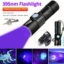 Axya UV 395nm Mini Torch Blacklight for Pet Cat Moss Urine