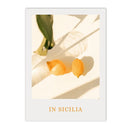 Axyaa Lemon Orange Harvest Canvas Wall Art Print Interior Decor
