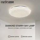 Axyaa Starry Sky LED Ceiling Light for Home Decor