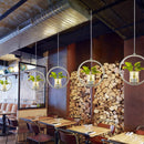 Modern LED Plant Pot Pendant Lights for Home Decor by Axyaa