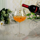 Axyaa Glass Cup - Multipurpose Household Drinkware Set