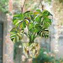 Turtle Leaf Acrylic Hanging Ornaments - Axyaa Wedding & Home Decor Craft