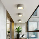 Axyaa Modern Bird's Nest LED Ceiling Light - Home Decor & Lighting Solution