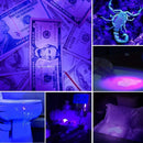 Axya UV Mini Blacklight Flashlight - Powerful Detector Light for Pet Urine