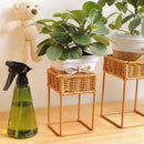 Axyaa Rustic Wicker Plant Stand with Flowerpot Indoor Decor Shelf