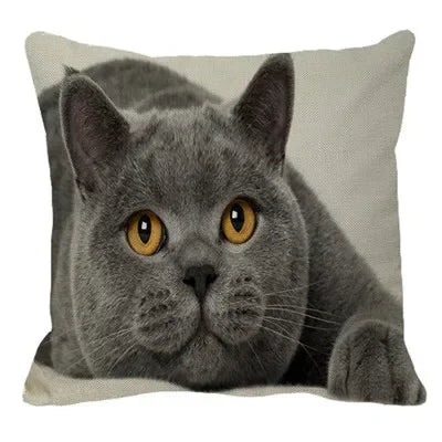 Axyaa British Shorthair Cat Pillow Cover 45X45cm Square Cushion