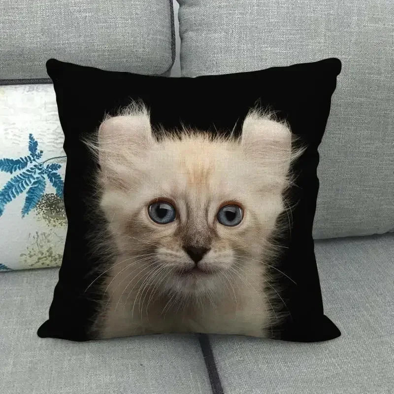 Fat Orange Cat Print Cushion Cover 45x45cm by Axyaa: Animal Pattern Home Decor Pillowcase