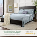 Axyaa Bamboo Viscose Bed Sheet Set, Luxuriously Soft & Cooling, Double S