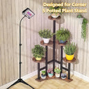 Axyaa 6 Tier Corner Plant Stand Indoor - Tall Flower Shelf Holder