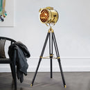 Axyaa Retro Nordic Stainless Steel Floor Lamp for Restaurant Living Room