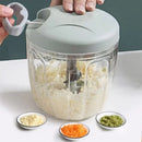 Axyaa Garlic Chopper: Manual Hand Press Vegetable Grinder & Crusher