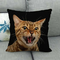 Fat Orange Cat Print Cushion Cover 45x45cm by Axyaa: Animal Pattern Home Decor Pillowcase