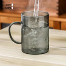 Axyaa Glass Tea Cup with Filter, Lid & Anti-scald Handle, 400ml Heat-resistant Drinking Cup