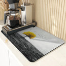 Axyaa Scenery Kitchen Absorbent Draining Mat - Quick Dry, Super Absorbent Dish Drying Mat