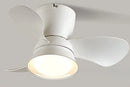 Axyaa Ceiling Fan Light with Variable Frequency Control