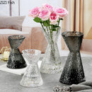 Axyaa Clear Art Glass Vase for Flowers - Decorative Transparent Hydroponic Ornament