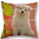Axyaa Pomeranian Dog Pillowcase Cotton Linen Square Zipper 45X45cm Wedding Decor Pillow cover
