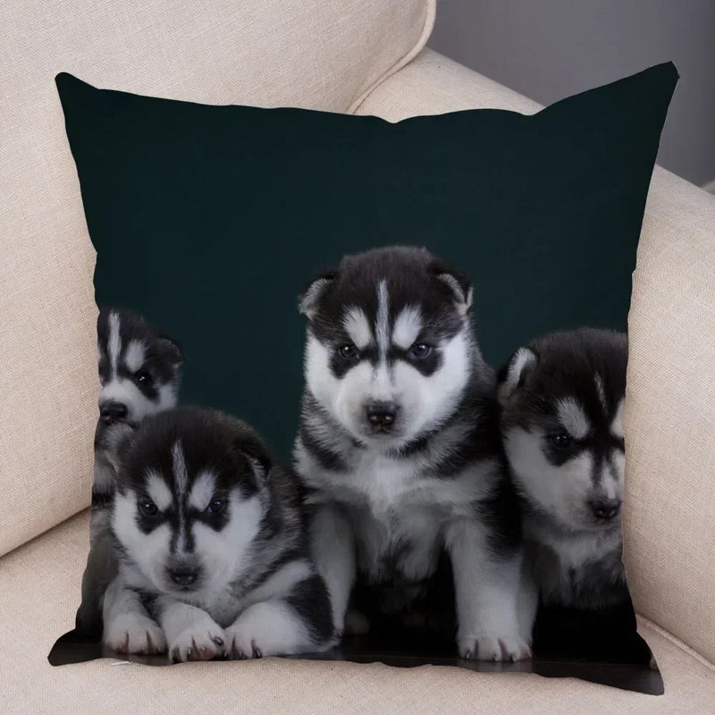 Axyaa Siberian Husky Pet Sofa Cushion Cover - Cute Dog Print Pillowcase Decor
