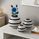 Axyaa Striped Round Ball Vase: Geometric Lines, Black and White, Home Decor
