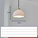 Axyaa Ceramic Nordic LED Pendant Lamp for Home Decor & Indoor Lighting