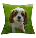 Axyaa Cavalier King Charles Spaniel Sofa Cushion Cover - Home Decor & Party Accessory