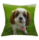 Axyaa Cavalier King Charles Spaniel Sofa Cushion Cover - Home Decor & Party Accessory