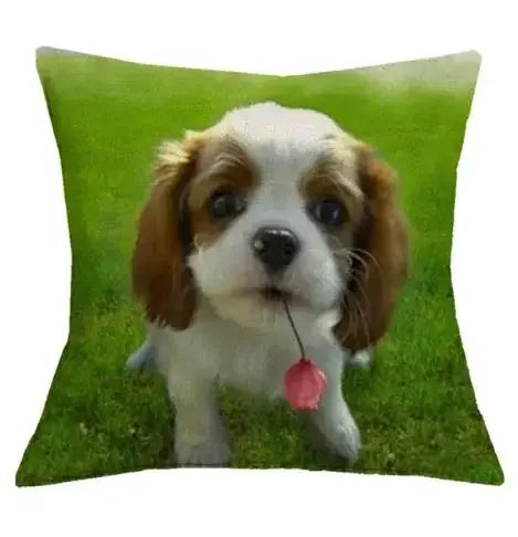 Axyaa Cavalier King Charles Spaniel Sofa Cushion Cover - Home Decor & Party Accessory