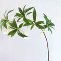 Axyaa Ceramic Banana Vase for Flowers and Fruit Arrangements