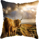 Axyaa Nordic Yak Oxen Highland Cow Cushion Cover for Home Hotel Sofa Bed