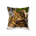 Axyaa Black Cat Cushion Cover for Sofa, Car, Office, Game Chair - Cute & Funny