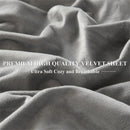 Axyaa Plush Velvet Fitted Sheet Set 3-Piece - High Quality Soft Mattress Cover & Pillowcase