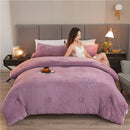 Axyaa Double Sided Milk Velvet Winter Comforter King Size Quilts, Soft Plush Duvets