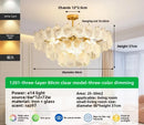 Axyaa Crystal Chandelier: Minimalist Living Room, Bedroom, and Restaurant Lighting