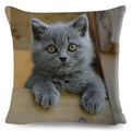 Axyaa Fold Ear Cat Pillow Covers - Set of 2 Cute Pet Pillowcases